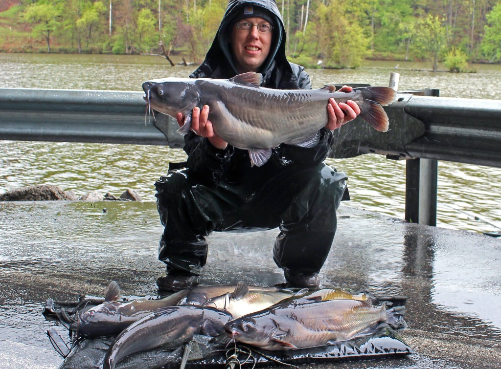 20 lb blue catfish