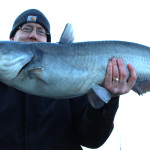 26 lb blue catfish