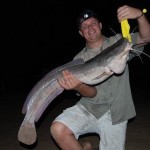 Sharp tooth catfish