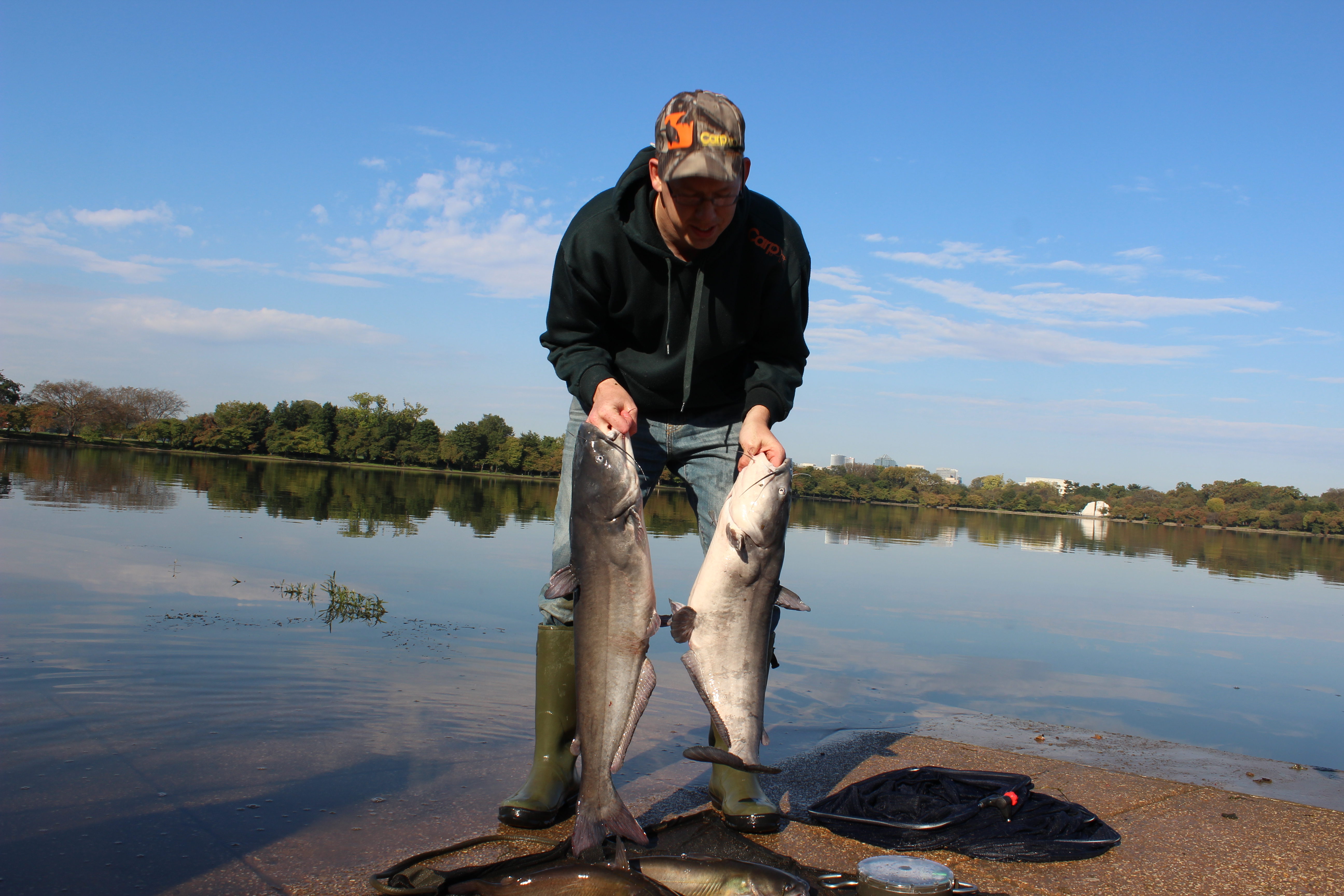 Two 18 lb blue catfish both caught on cured chicken liver with Pro-Cure and then released.