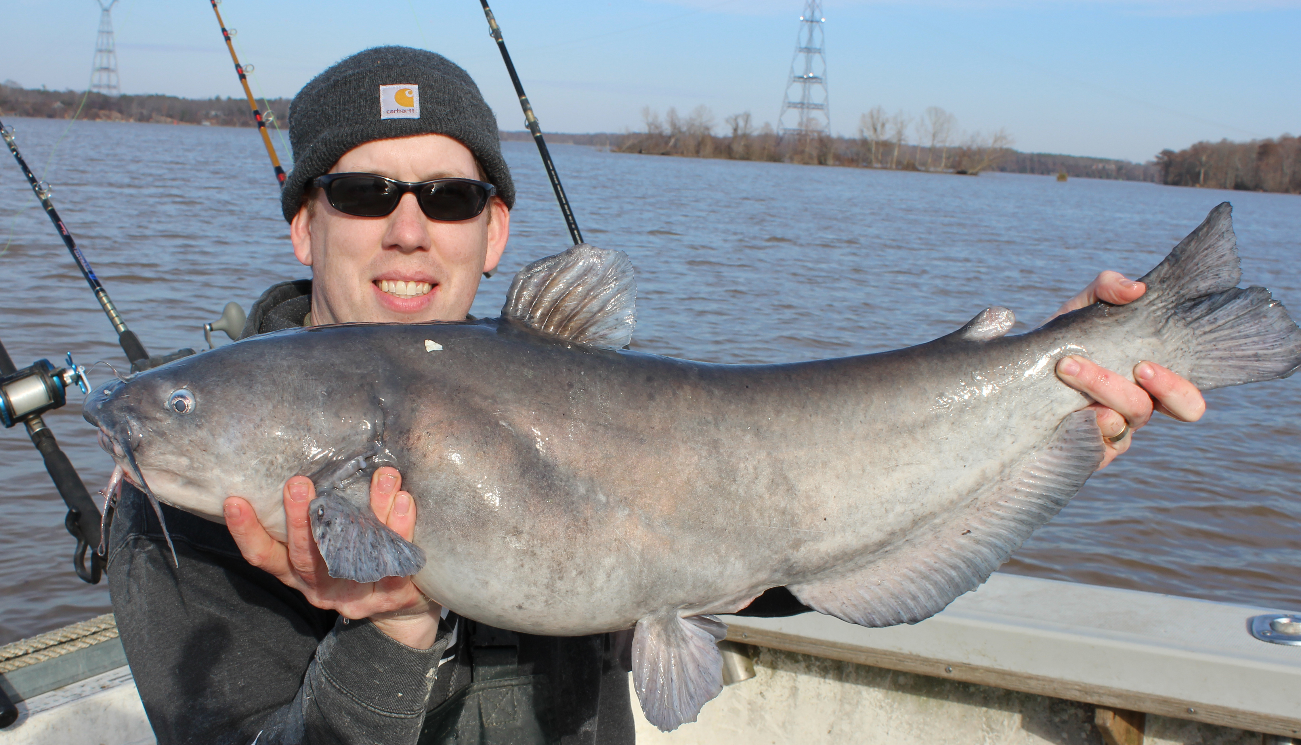 25 lb Blue Catfish.