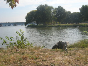 Aim for a landmark on the opposite shore