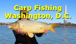 Carp Fishing in Washington DC