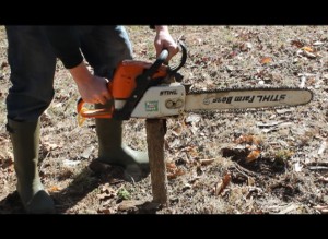 Can you catch worms with a chainsaw?